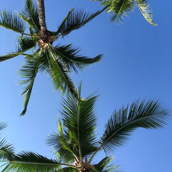 Meet your Posher, Amber - Picture 1 of 1